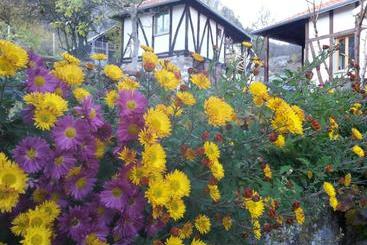 هتل Golemi Kamik Pirot