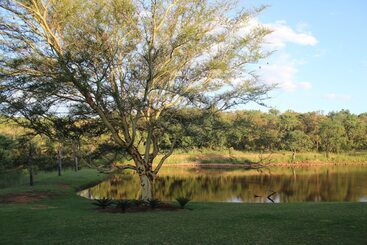 פנסיון La Barune Game Lodge