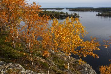 Wilderness Hotel Nangu & Igloos