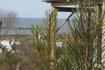 هاستل Casita Picaflor