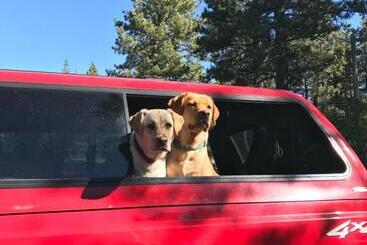 住宿加早餐 Fireside Lodge