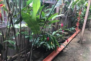 پانسیون Ayahuaska Backpackers House  Casa Completa En Alquiler
