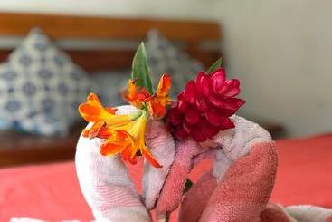 ペンション Ayahuaska Backpackers House  Casa Completa En Alquiler