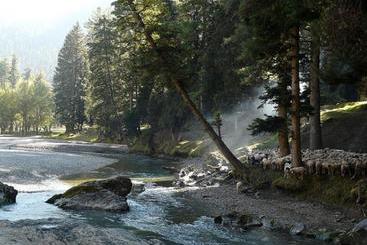 پانسیون Hayat Hotel Pahalgam