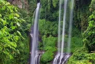 پانسیون Sekumpul Accommodation