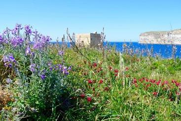 پانسیون Katalina House