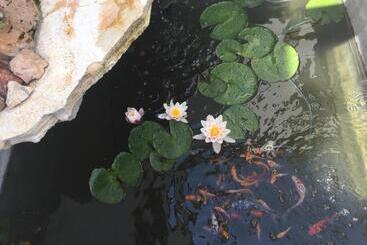 Отель Fehérház Alkalmi Szálló