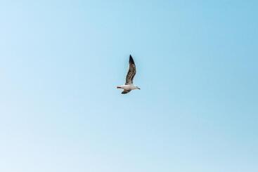 アパートホテル Boulevard 5