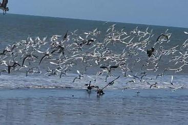 فندق صغير El Arca De Pachue