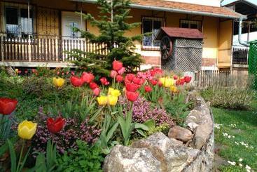 פנסיון Kútvölgy Vendégház