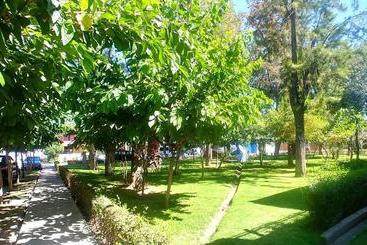 پانسیون Foresta Hostal