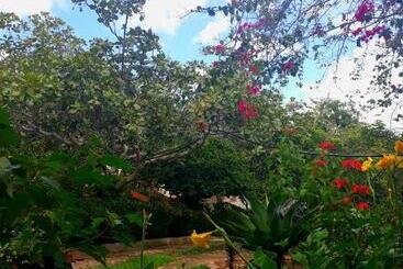 膳宿费 Pousada Café Do Brejo