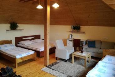 پانسیون Vila štefan Drevko