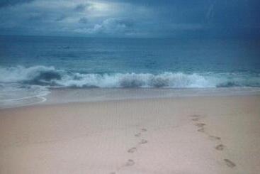 פנסיון Cinnabar Resort