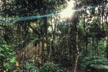 هاستل Periyar Green Bed & Breakfast