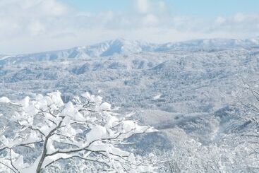 פנסיון Edelweiss Akakura