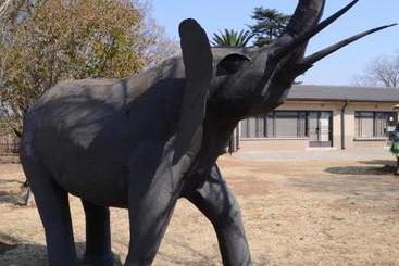 پانسیون Elephant Lodge Guesthouse