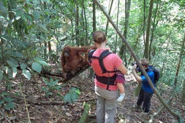 پانسیون Ida Guest House & Jungle Trekking