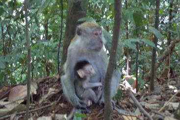پانسیون Ida Guest House & Jungle Trekking