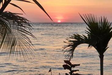 Nalini Resort