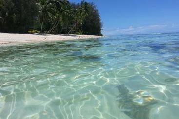 پانسیون Sunset Palms Rarotonga