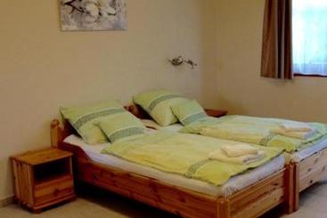 ペンション Vidor Vendégház