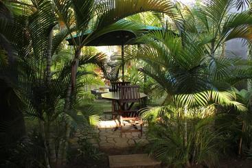 هاستل Backpackers Inn