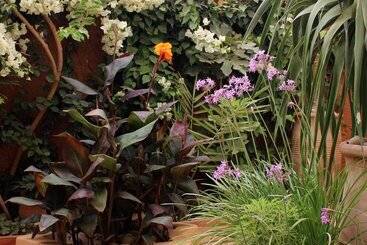 پانسیون Tifawin Home And Garden