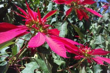 Общежитие Hostal San Pablo