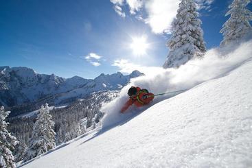 Pansiyon Gästehaus Pilz Schladming