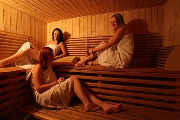 پانسیون Wellness Penzion U Michala