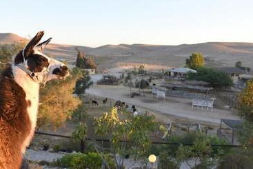 فندق Alpaca Farm חוות האלפקות