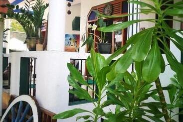 ホテル Frangipani Beach Villa