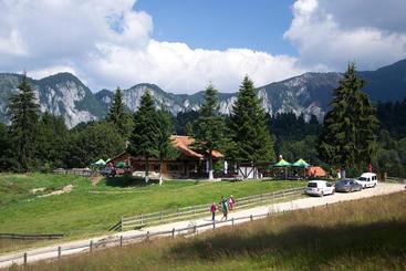 펜션 Cabana Poiana Secuilor