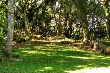 بنسيون Recanto Da Mata Pousada