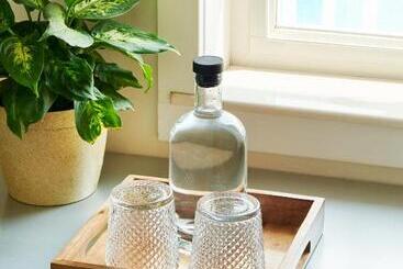 בית מלון כפרי Greenporter