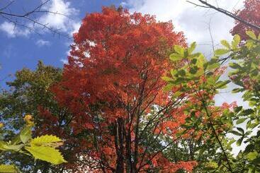 Pensão 乗鞍高原の宿テンガロンハットb&btengallonhat