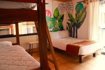 Supertramp Hostel Machupicchu