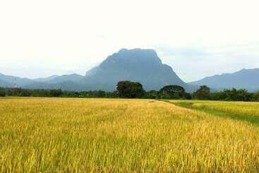 ホテル Saranghae Home Chiang Dao