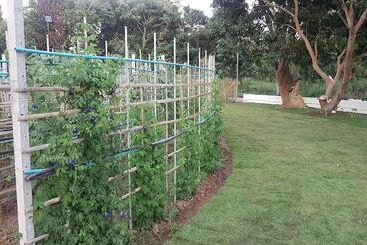 בית מלון כפרי Poolvilla Chiangmai