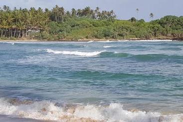 تختخواب و صبحانه Blue Beach Paradise