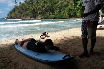 تختخواب و صبحانه Blue Beach Paradise