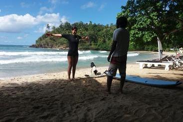 تختخواب و صبحانه Blue Beach Paradise