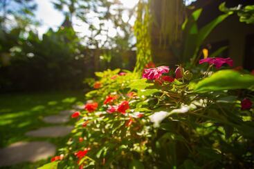 דירות לתיירים D'bale Ananda Ubud Villa