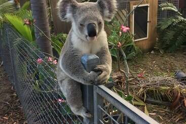 آپارتمانهای توریستها Executive Properties In North Ward Townsville And On Magnetic Island