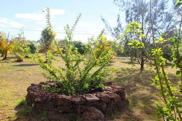 Апарт-отель Uka Mana