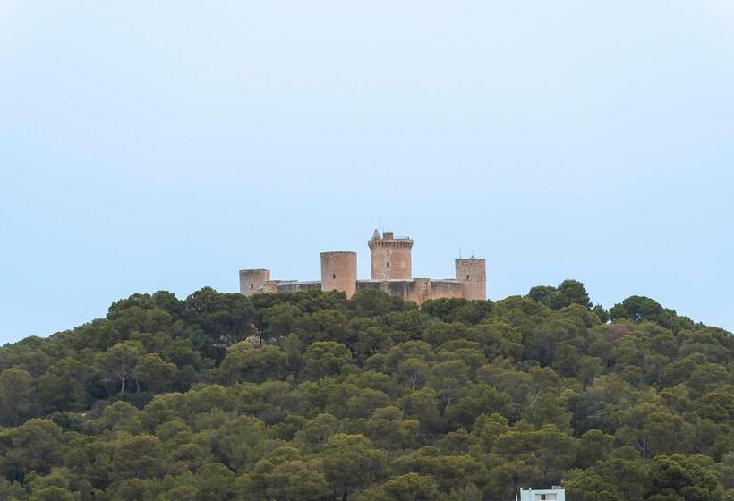 酒店 Amic Horizonte