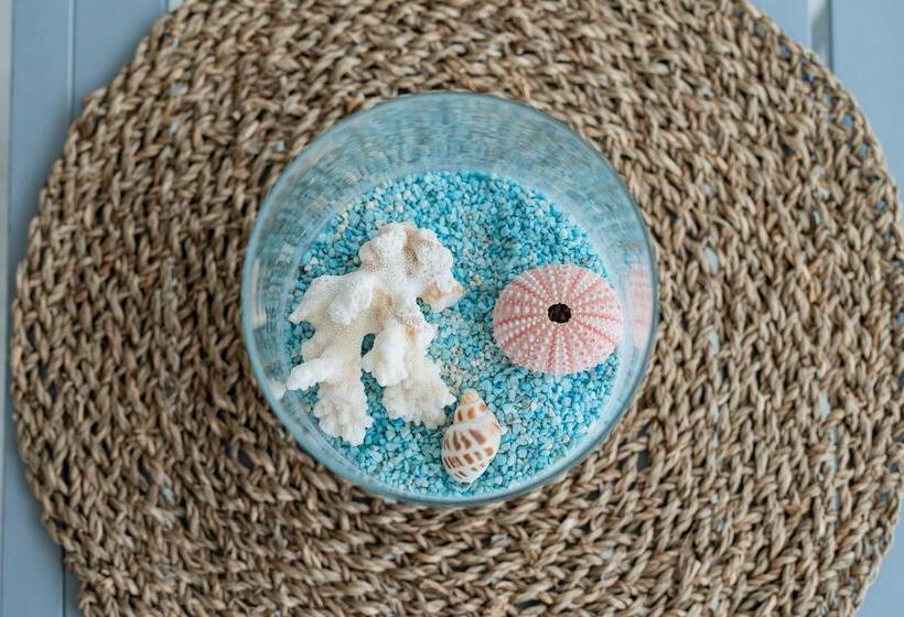 酒店 Amic Horizonte