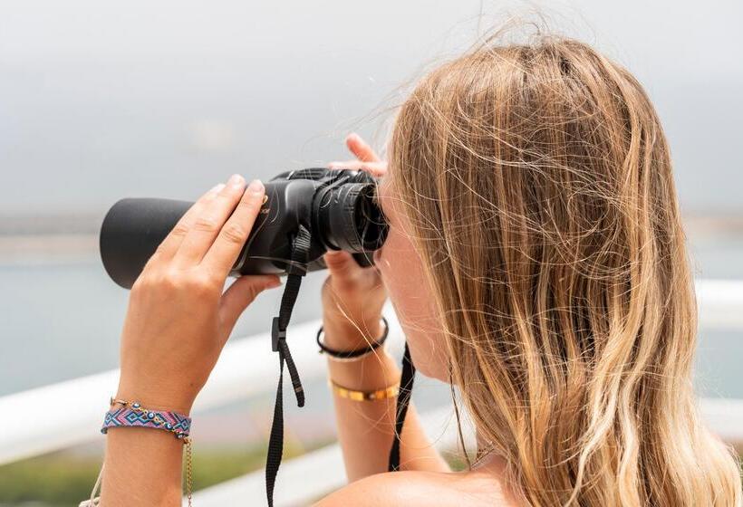 酒店 Amic Horizonte