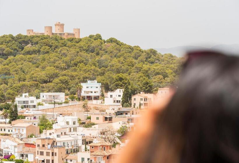 酒店 Amic Horizonte